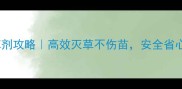 最新威锄除草剂攻略高效灭草不伤苗安全省心种植指南