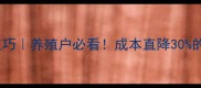 康地饲料配方5大核心技巧养殖户必看成本直降30的养殖秘籍附配方表