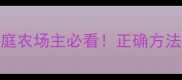 农药存储安全指南家庭农场主必看正确方法避免中毒和环境污染