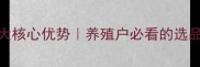 山东莒县猪饲料五大核心优势养殖户必看的选品指南附真实案例