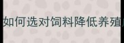 饲料质量行业报告养殖户必看如何选对饲料降低养殖成本附权威检测标准与避坑指南