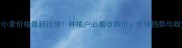 9月开封小麦价格最新行情种植户必看收购价市场趋势与政策解读