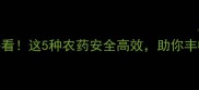 花菜种植必看这5种农药安全高效助你丰收不伤菜叶