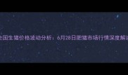 全国生猪价格波动分析6月28日肥猪市场行情深度解读