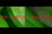 10月江西生猪价格波动全最新行情养殖户应对策略及市场趋势预测