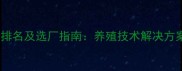 广州饲料公司排名及选厂指南养殖技术解决方案与行业趋势