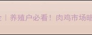 济南肉鸡价格波动全养殖户必看肉鸡市场暗藏哪些机会与风险