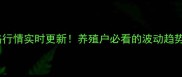 最新牲猪价格行情实时更新养殖户必看的波动趋势与饲养技巧