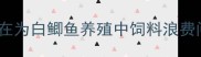 你是否还在为白鲫鱼养殖中饲料浪费问题发愁