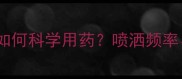 最新数据水稻种植如何科学用药喷洒频率成本与产量关系全