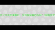 广东人吃了30年的番薯叶农药残留真的多吗3招教你安心吃