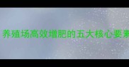 饲料盐科学配方养殖场高效增肥的五大核心要素与养殖技术指南
