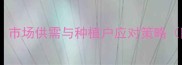 通辽玉米价格波动全市场供需与种植户应对策略附最新价格走势图