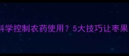 冬枣种植如何科学控制农药使用5大技巧让枣果更安全更丰收