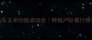 9月山东玉米价格波动全种植户必看行情指南