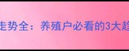 辉县生猪价格走势全养殖户必看的3大趋势与应对策略