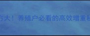 荆州通威饲料422型配方大养殖户必看的高效增重秘籍附详细使用指南