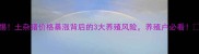 警惕土杂猪价格暴涨背后的3大养殖风险养殖户必看