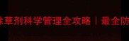 桔梗田除草剂科学管理全攻略最全防草指南