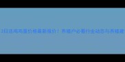 8月3日活鸡鸡蛋价格最新报价养殖户必看行业动态与养殖建议