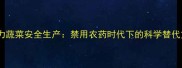 权威有机种植技术助力蔬菜安全生产禁用农药时代下的科学替代方案与全程管理指南