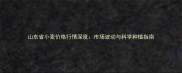 山东省小麦价格行情深度市场波动与科学种植指南
