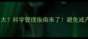 油菜抽苔期除草剂危害大科学管理指南来了避免减产损失种植户必看