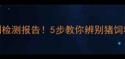 新手养殖户必看从包装到检测报告5步教你辨别猪饲料好坏附选购避坑指南
