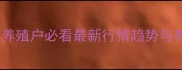 全国鸡蛋价格波动全养殖户必看最新行情趋势与养殖技巧附实时数据