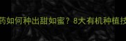 冬枣不打农药如何种出甜如蜜8大有机种植技巧大公开