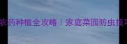 西红柿零农药种植全攻略家庭菜园防虫技巧大公开