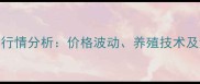 银龙鱼市场行情分析价格波动养殖技术及消费趋势全