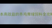 青饲料制作与科学喂养低成本高效益的养鸡青绿饲料全攻略附详细配比与操作指南