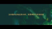 玉米猪肉价格走势分析供需博弈与市场预测