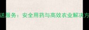 山东专业农药配送服务安全用药与高效农业解决方案最新指南