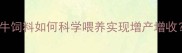 养殖户必看正大奶牛饲料如何科学喂养实现增产增收三大核心优势深度