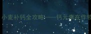 农药使用巧加钙肥小麦补钙全攻略钙元素在作物生长中的科学应用