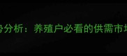 苗猪价格走势分析养殖户必看的供需市场与养殖策略