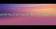 小麦田3种高效除草剂组合技术要点与华北地区应用指南