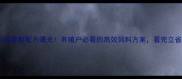正大饲料公司最新配方曝光养殖户必看的高效饲料方案看完立省30成本