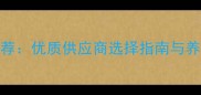 海参饲料厂家推荐优质供应商选择指南与养殖效益提升策略