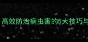 绿福农药科学使用全攻略高效防治病虫害的5大技巧与安全操作指南最新版