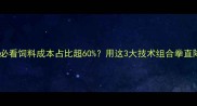 养殖户必看饲料成本占比超60用这3大技术组合拳直降支出