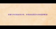 安徽牛肉价格走势分析市场波动原因与未来趋势解读