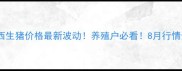 山西生猪价格最新波动养殖户必看8月行情全