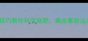 农药所吴志凤5大技巧教你科学施肥病虫害防治这样做效果翻倍