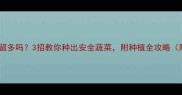 芥蓝菜农药残留多吗3招教你种出安全蔬菜附种植全攻略附检测方法
