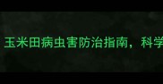 吉林盛丰农药玉米田病虫害防治指南科学用药助农增收