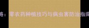 紫甘蓝种植全攻略零农药种植技巧与病虫害防治指南健康高产秘籍