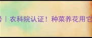 根系爆发式生长农药网展根1号农科院认证种菜养花用它1个月根系翻倍产量翻3倍